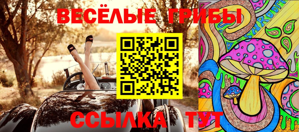Псилоцибиновые грибы Psilocybine cubensis Калач-на-Дону