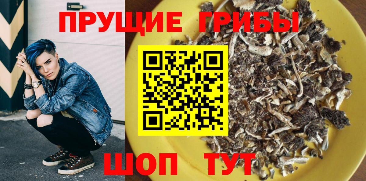 Калач-на-Дону  Галлюциногенные грибы GOLDEN TEACHER  Вход с VPN 